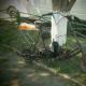 Robimo Heimwerker-Traktor, Beschreibung mit Kettensäge, Foto, Video