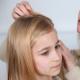 Kako se riješiti gnjida prema knjizi snova Kako se riješiti ušiju na dječjoj kosi