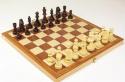 Як навчитися грати в шахи початківцям